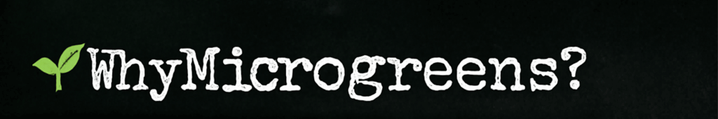 screenshot 2025 09 04 at 23.25.14