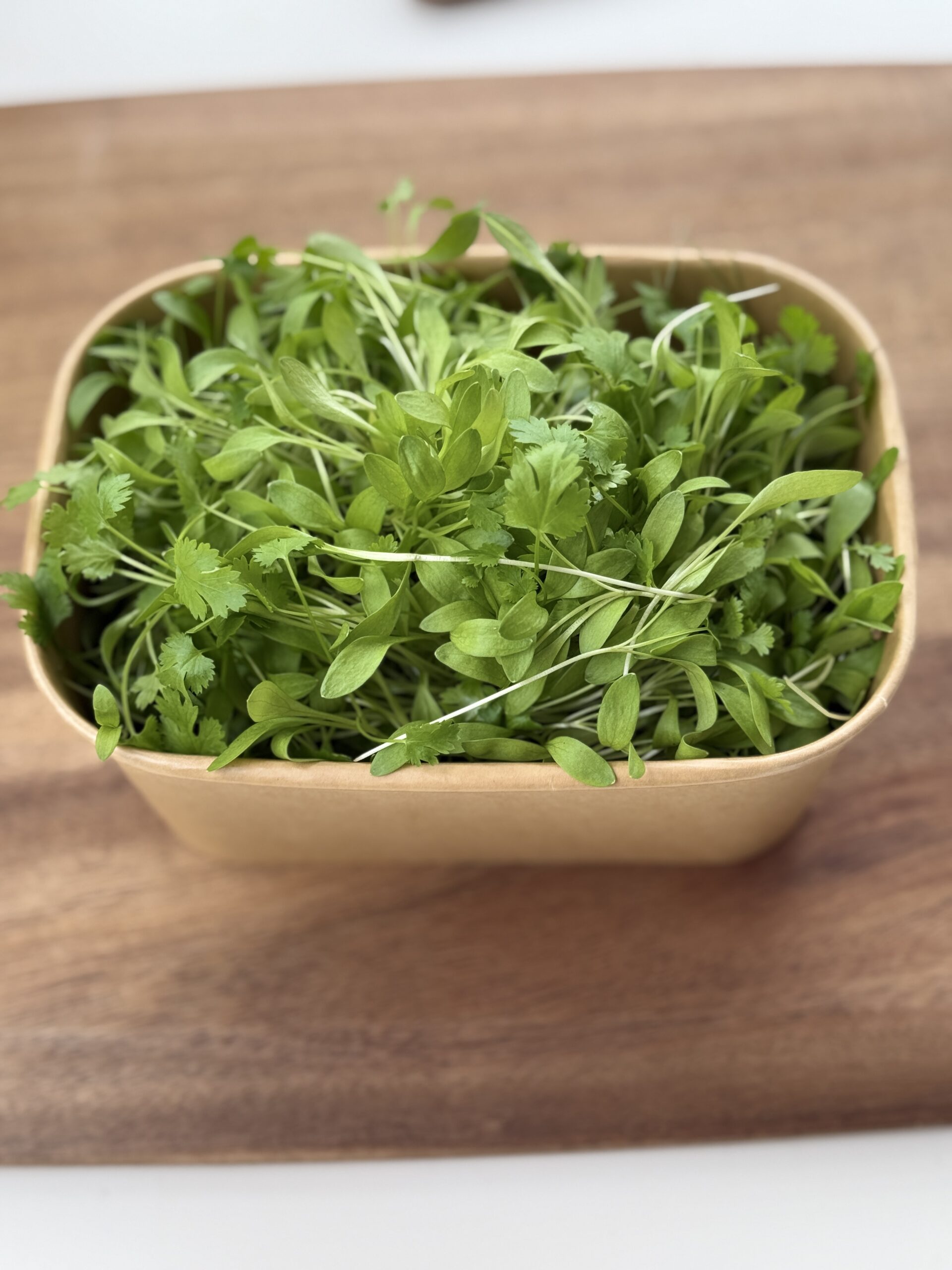 Micro Coriander
