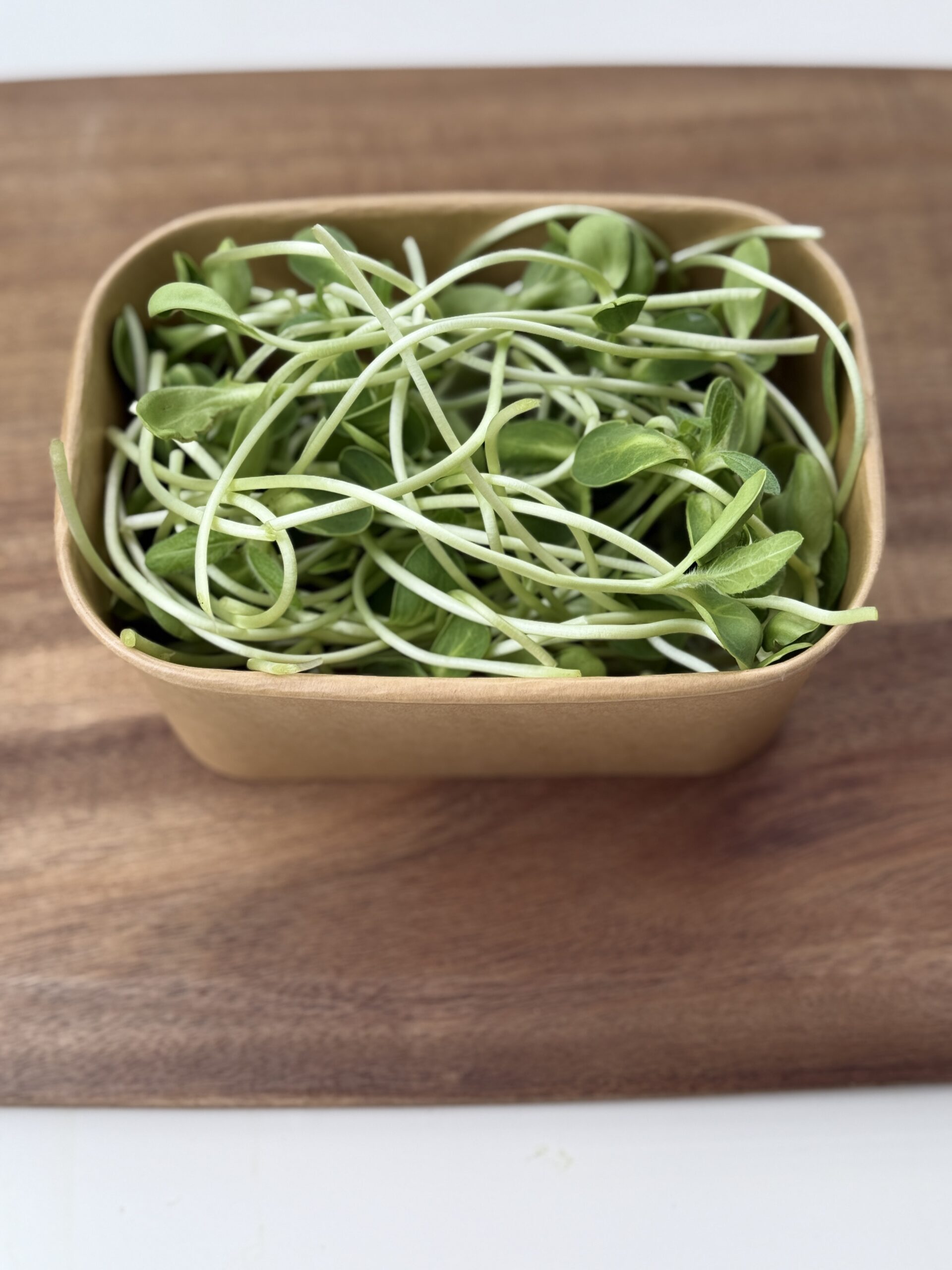 Sunflower Shoots