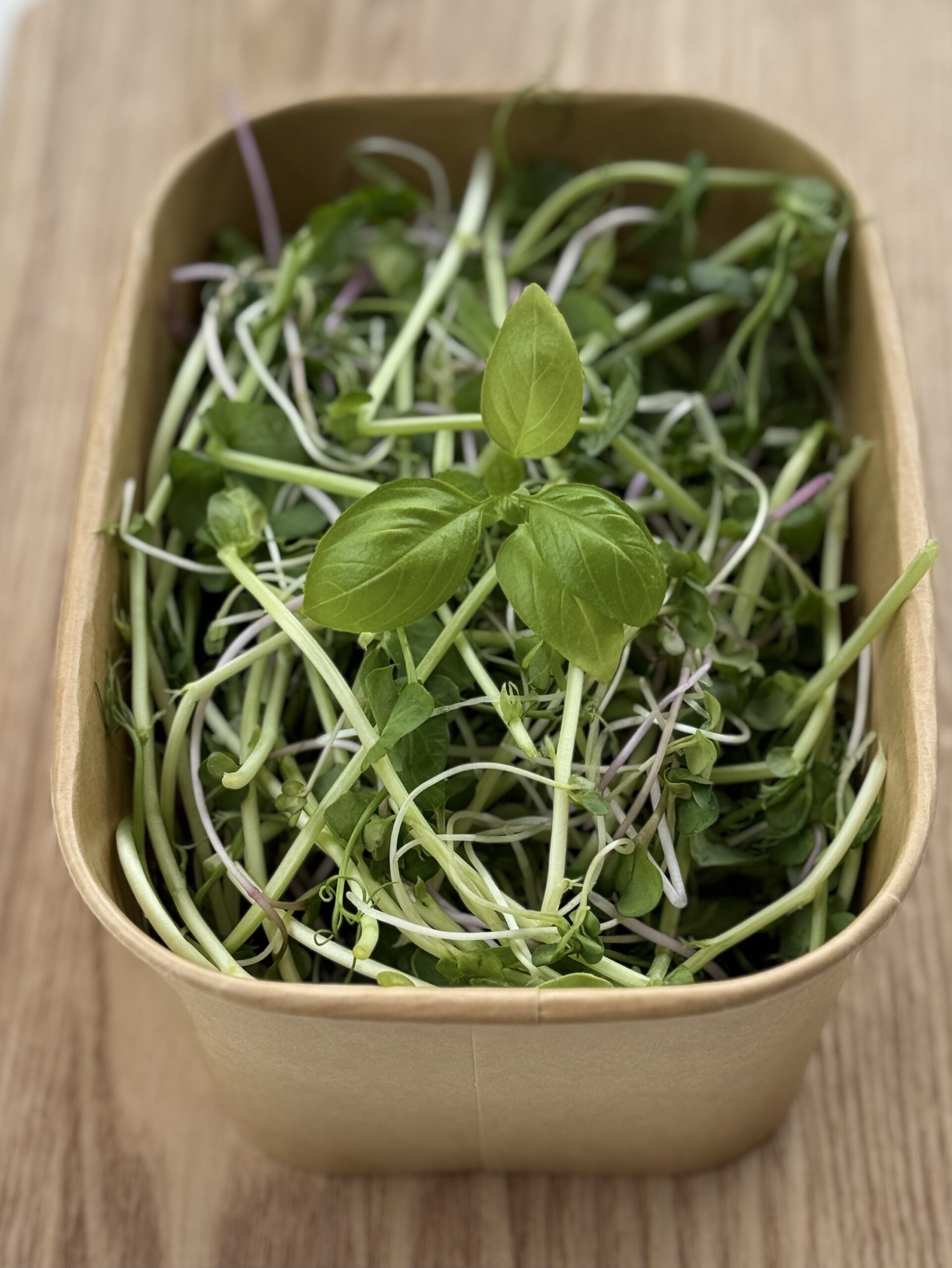 Timmy Greens Mix Salad