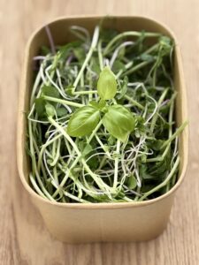 Timmy Greens Mix Salad — Signature Blend | Downtown Urban Farm mix salad box