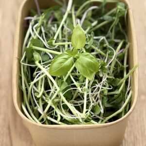 mix salad box