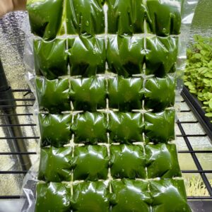 wheatgrass